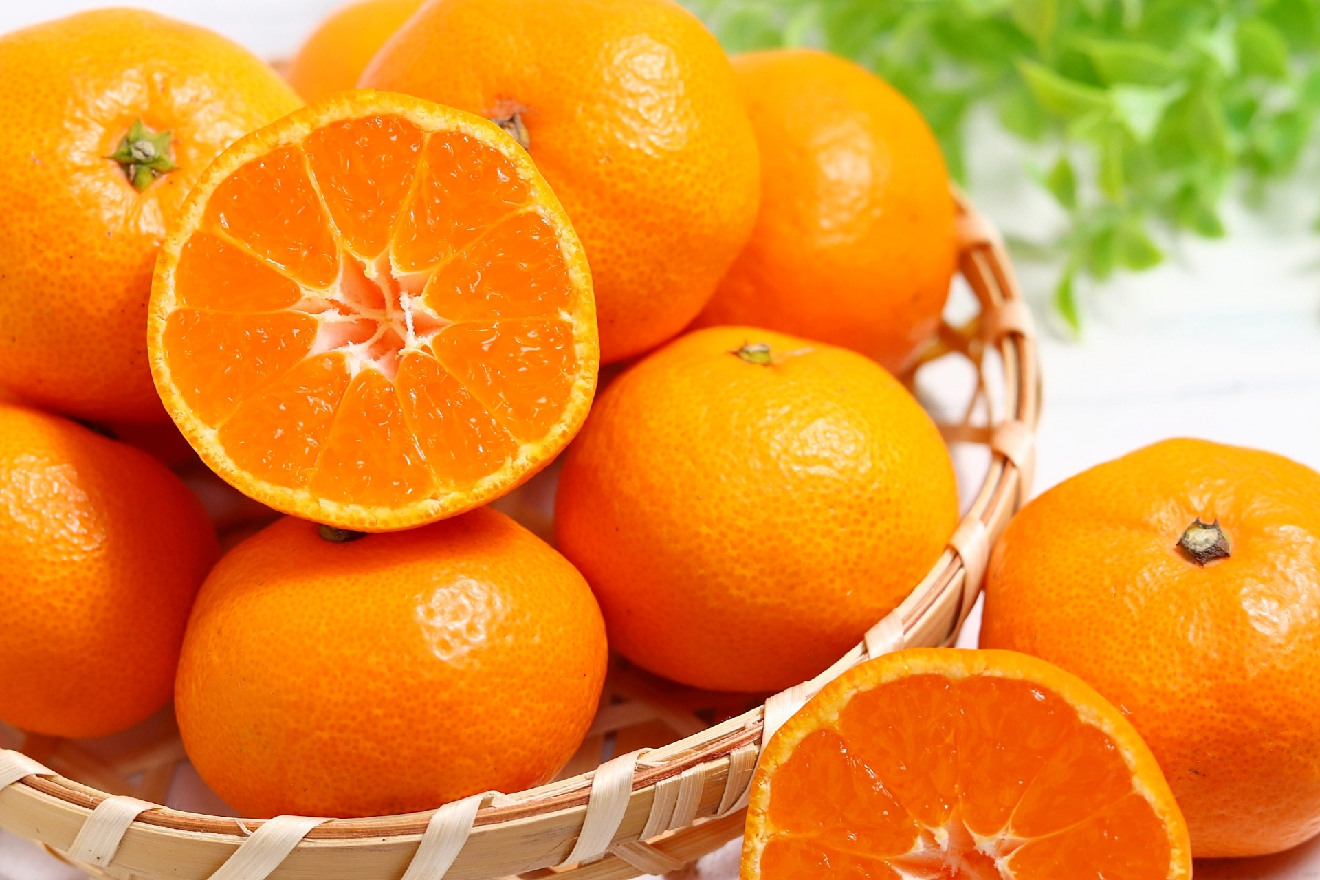 毎朝「三ヶ日青島みかん」を頂いています…地元愛溢れる株主優待